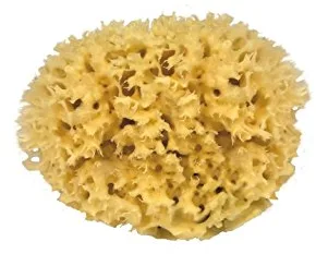 CROLL & DENECKE M130 - Esponja natural mediterránea (tamaño mediano, 13 cm), color natural