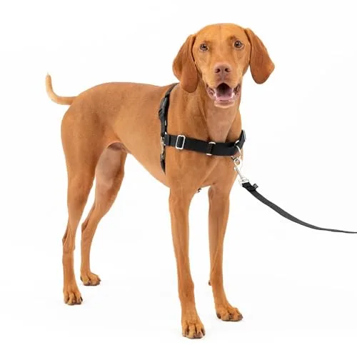 Arnés para Perros Easy Walk de PetSafe, arnés antitirones para Perros – para adiestramiento con Correa y arnés – Evita tirones y Asfixia en los Paseos – Mediano, Negro