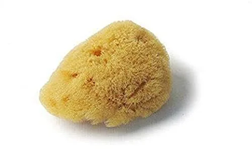 Croll & Denecke L050 - Esponja Natural del mar Mediterráneo (poro Fino, para Cuidado Facial, 5 cm)