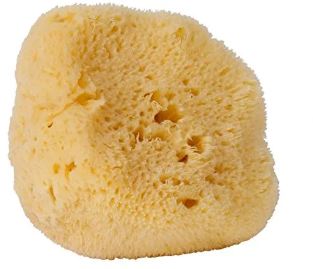 Croll & Denecke L100 - Esponja Natural del mar Mediterráneo (poro Fino, para Cuidado Facial, 10 cm)