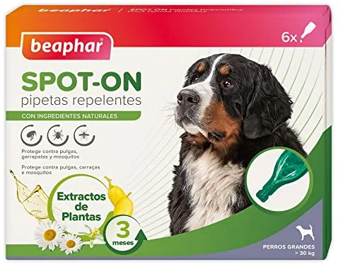 Beaphar Pipetas repelentes Naturales para Perros Grandes (más de 30 kg) - 3 Meses de protección Natural contra garrapatas, pulgas y Mosquitos - para Todo Tipo de Perros - 6 pipetas de 2 ml.
