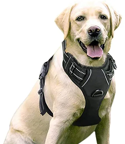 rabbitgoo Arnes Perro Grande Mediano Pequeño Arnés Pecho Antitirones Perros Coche con Lineas Reflecantes Cómodo Transpirable Chaleco Acolchado Ajustable para Adiesreamiento Correr Negro Tamaño Grande