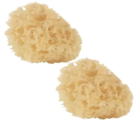 Jané Esponja Natural para Bebé, Pack 2 Unidades, Suave y Absorbente, Especial Recién Nacido, Higiene Infantil