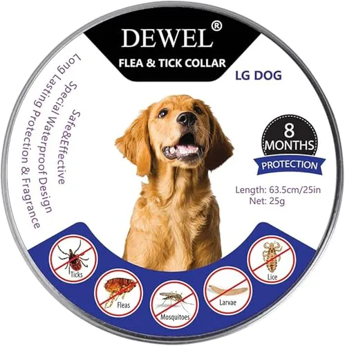 DEWEL Collar contra Pulgas y Garrapatas para Perros Grandes Medianos y Pequeños, Collar Antiparasitario para Perros 8 Meses de Protección, Control Antipulgas para Mascotas de 63,5 cm Gris 1 Unidad