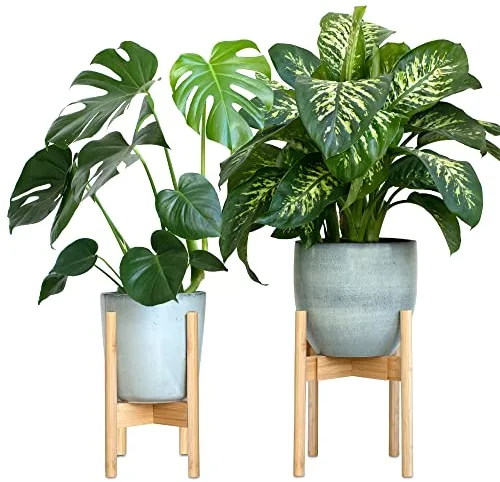 Gadgy Soporte Plantas Interior y Exterior | Juego de 2 Soportes de Macetas Expandible | Bambú Duradero | para macetas de Ø 20-30 cm. | Maceta y Planta no Incluidas