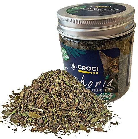 Croci Euphoria - Tarro de Hierba gatera Seca Natural picada, Atractivo para Gatos, 25 g