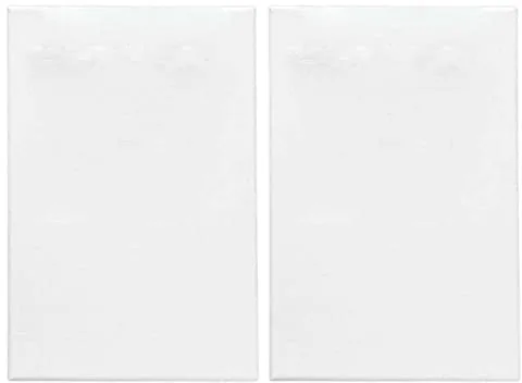 AC - Pack de 2 Lienzo para Pintar - 100% algodón - Listone de Madera - Apto para Todo Tipo de Pintura - Base para Realizar Pinturas hogar o Trabajo - 60 x 50 cm