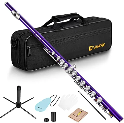 Vangoa Closed Hole C Flauta niquelada con estuche rígido, soporte, varillas de limpieza, guantes y kit de limpieza,Violeta