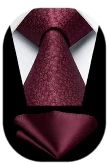HISDERN Corbatas Vino Rojo Hombre Modernas Corbata y Pañuelo de Boda Conjunto Corbatas de Business