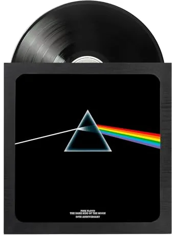 Grupo Erik Marco vinilo plata Premium - Marco madera para disco vinilo LP 12" con Anclaje y Cristal - Decoración hogar │ Regalos para amantes de la música (35.5 x 38 cm)