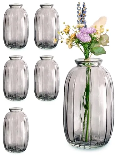 Praknu Jarrón Cristal Pequeños - Juego de 6 - Estilo Vintage - Floreros Modernos - Decoración de Hogar y Mesas de Boda - Aptos para Lavavajillas