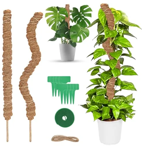 talifoca 2 Piezas Tutores para Plantas, 60CM de Moss Stick Plegable Palo de Tótem de Coco, Soporte para Plantas de tótem Estacas de Coco Apilables, Trepadoras Fibra de Coco Soporte