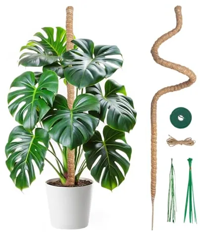 Mcbazel Tutor de Plantas Trepadoras sobre Estaca de Planta, 120 cm Soporte de Planta, Tutor de Coco, Ancho de 7 mm, Plegable, Poste de Crecimiento de Plantas Trepadoras para Plantas Monstera/Jardín