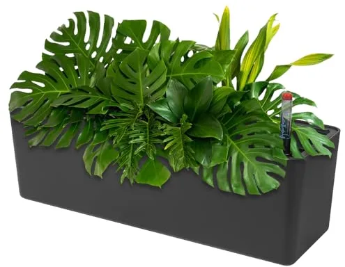 CPROSP 40cm Jardinera Rectangular Autorriego con Indicadores de Nivel de Agua, Autorriego Maceta, Jardinera De Riego Maceta Auto para Exteriores, Techos, Balcones Negro