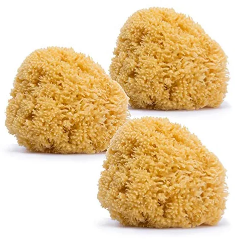 Suavinex, Pack de 3 Esponjas Naturales para Bebé, Tamaño Grande, Esponjas Marinas 100% Naturales, Suaves y Absorbentes, Esponjas Aptas Bebés Recién Nacidos y para toda la Familia, 3 uds