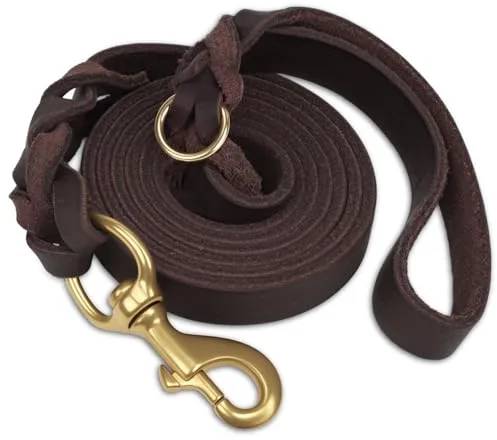 Joytale Correa Cuero Perro, Correa De Cuero Resistente para Perros con Gancho De Latón Resistente, Suave Y Duradero, Apto para Perros Pequeños Medianos Y Grandes（Marrón, 150cm×2cm）