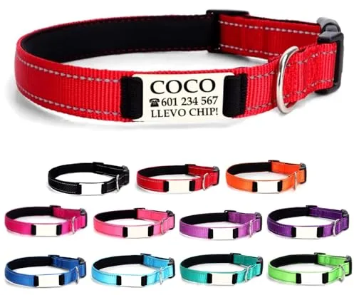 Ibera gifts - Collar Perro Personalizado con Nombre para Mascotas Grandes, Reflectante, Ajustable De 40 a 60 cm, Grabado Láser, Seguro y Cómodo (Rojo, L Grande)