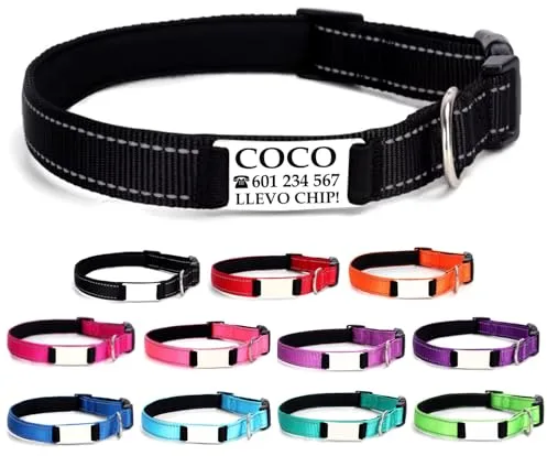 Ibera gifts - Collar Perro Personalizado con Nombre para Mascotas Medianas, Reflectante, Ajustable De 35 a 50 cm, Grabado Láser, Seguro y Cómodo (Negro, M Mediano)