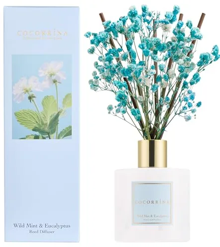COCORRÍNA Difusor de aroma de caña, 8 varillas aromáticas de 200 ml, menta silvestre y eucalipto, natural, larga duración, fragancia para el hogar, difusor de aceite esencial
