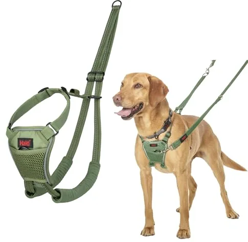 Arnés anti tirones HALTI - Para evitar que tu perro tire de la correa, Ajustable, Ligero y Fácil de Usar. Reflexiva Adiestramiento canino Arnés para perros medianos (Talla M, Bosque Verde)