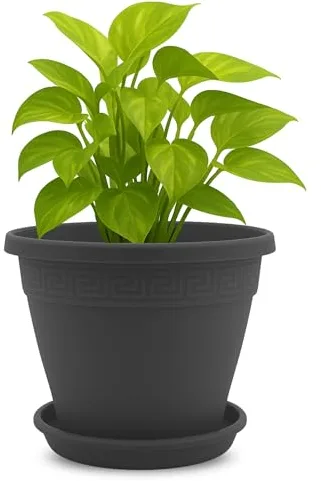 TECHZOCO Macetero con Plato, Maceta Redonda clásica de plástico con Plato, Tiesto para Plantas, Fabricado en Polipropileno, 33 cm Altura x 42 cm Diámetro Superior x 23 cm Diámetro Base, Antracita