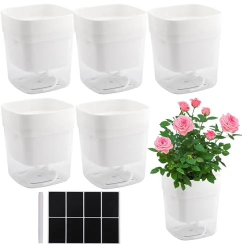 CHUIFAI 6 Macetas Autoriego Transparentes 12 cm para Hierbas de Cocina, Sistema de Riego Automático con Depósito, Plantas de Interior, Balcón, Oficina