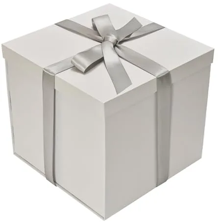 Tekhoho Caja Regalo Blanco 22x22x20,5cm, Cajas de Regalo Premium con Tapa y Cinta para Regalos de San Valentín, Navidad, Bodas, Cumpleaños, Embalaje de Regalo, Forro a Cuadros