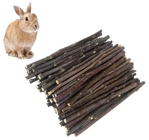 Rynvarl 300g Juguete para Masticación de Roedores – Palitos de Madera de Manzana Natural para Conejos, Hámsters, Cobayas, Chinchillas, Cuidado Dental, Alivio del Estrés, Sin Aditivos