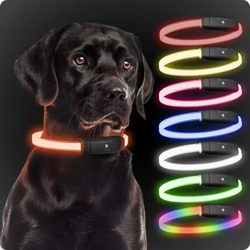 PAJ - Light - Collar Luminoso de Alta Intensidad para Perros de Todos los tamaños - Longitud Ajustable 20-70cm - 100% Impermeable - 7 Colores - Máxima Visibilidad (1, Perros Medianos/Grandes)