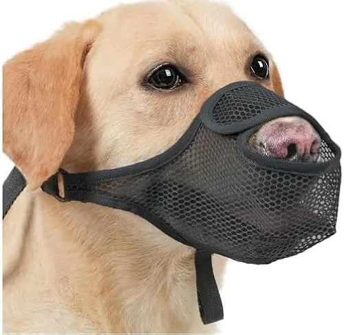 ZYEKIU Bozal Anti Ingestas,Evitar Que Masticar/Alimentar/Morder Bozal para Perros Pequeños,Ajustable Reflectante Transpirable Bozales para Perros Grandes (Negro, XL)
