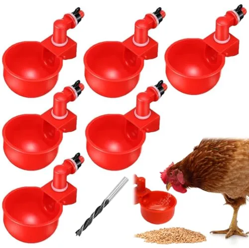 EIHI 6 bebederos para pollos con taladro. Kit de bebedero automático para pájaros, aves de corral, palomas, pollos y patos.