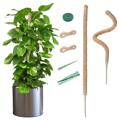 Mcbazel 2Pcs 70cm Tutor de Plantas Trepadoras sobre Estaca de Planta, Soporte de Planta, Tutor de Coco 5mm Ancho, Plegable Poste de Crecimiento de Plantas Trepadoras para Plantas Monstera/Jardín