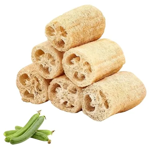 Ferizzia 6 Piezas Esponja Natural, 10cm Esponjas de Luffa Naturales, Exfoliante Estropajo Natural, Estropajo Ecologico, para Eliminar la Piel Muerta, el Cuidado del Cuerpo, Baño y Ducha