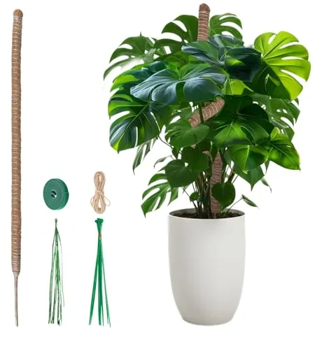Mcbazel 120cm Tutor para Plantas Monstera,Ø 4cm Extra Grueso Flexible Soporte para Monstera,Estaca de Musgo de Coco para Planta Trepadoras Grandes,Hecha a Mano con Accesorios para Plantas de Interior