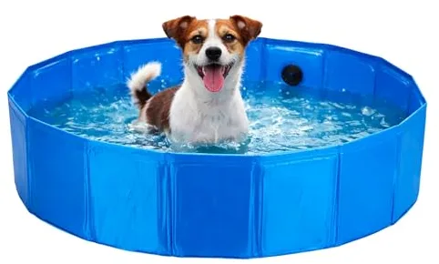 TIENDA EURASIA – Piscina para Perros | Plegable | Poliéster + Plástico | Medidas 80x80x20 cm | Color Azul | Base Antideslizante